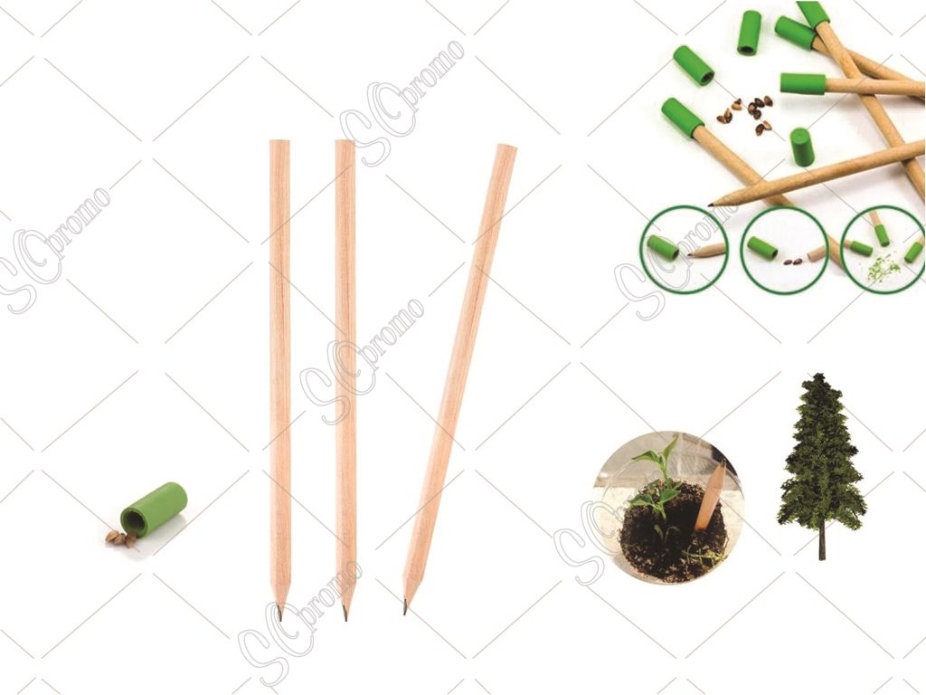 Seedy Pencil